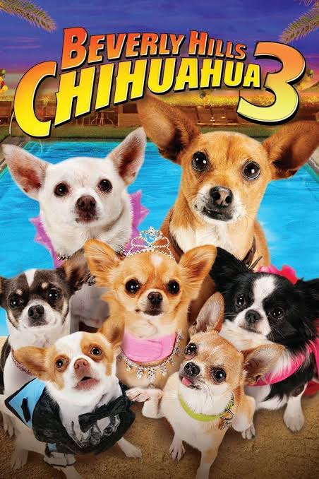 Beverly Hills Chihuahua 3- Viva La Fiesta! คุณหมาไฮโซ โกบ้านนอก 3 (2012)