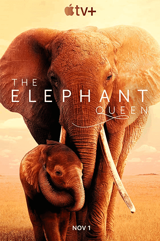The Elephant Queen (2019) อัศจรรย์ราชินีแห่งช้าง