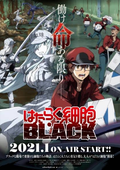 Cells at Work! BLACK ซับไทย EP1-EP13 [จบ]
