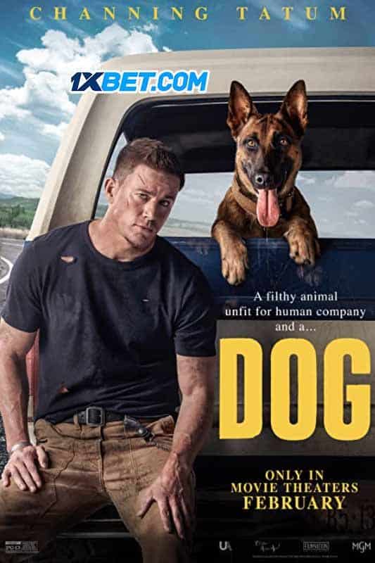 Dog (2022) By 1XBET