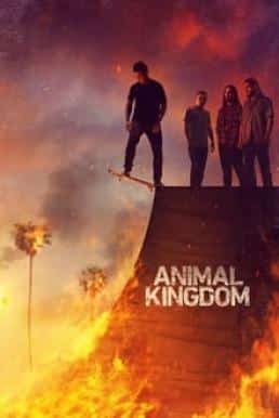 Animal Kingdom Season 6 ซับไทย EP1-EP13 [จบ]