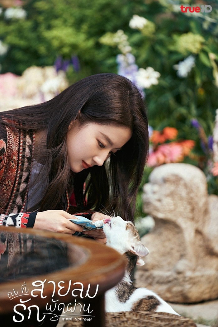 Meet Yourself (2023) ณ ที่สายลมรักพัดผ่าน ซับไทย EP1-EP40 [จบ]