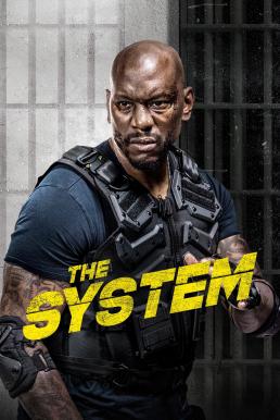 The System (2022)