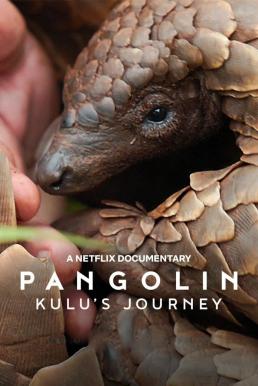 Pangolin: Kulu’s Journey การเดินทางของคูลู (2025)