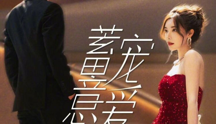 Love Conspiracy (2025) แผนร้ายซ่อนรัก ซับไทย